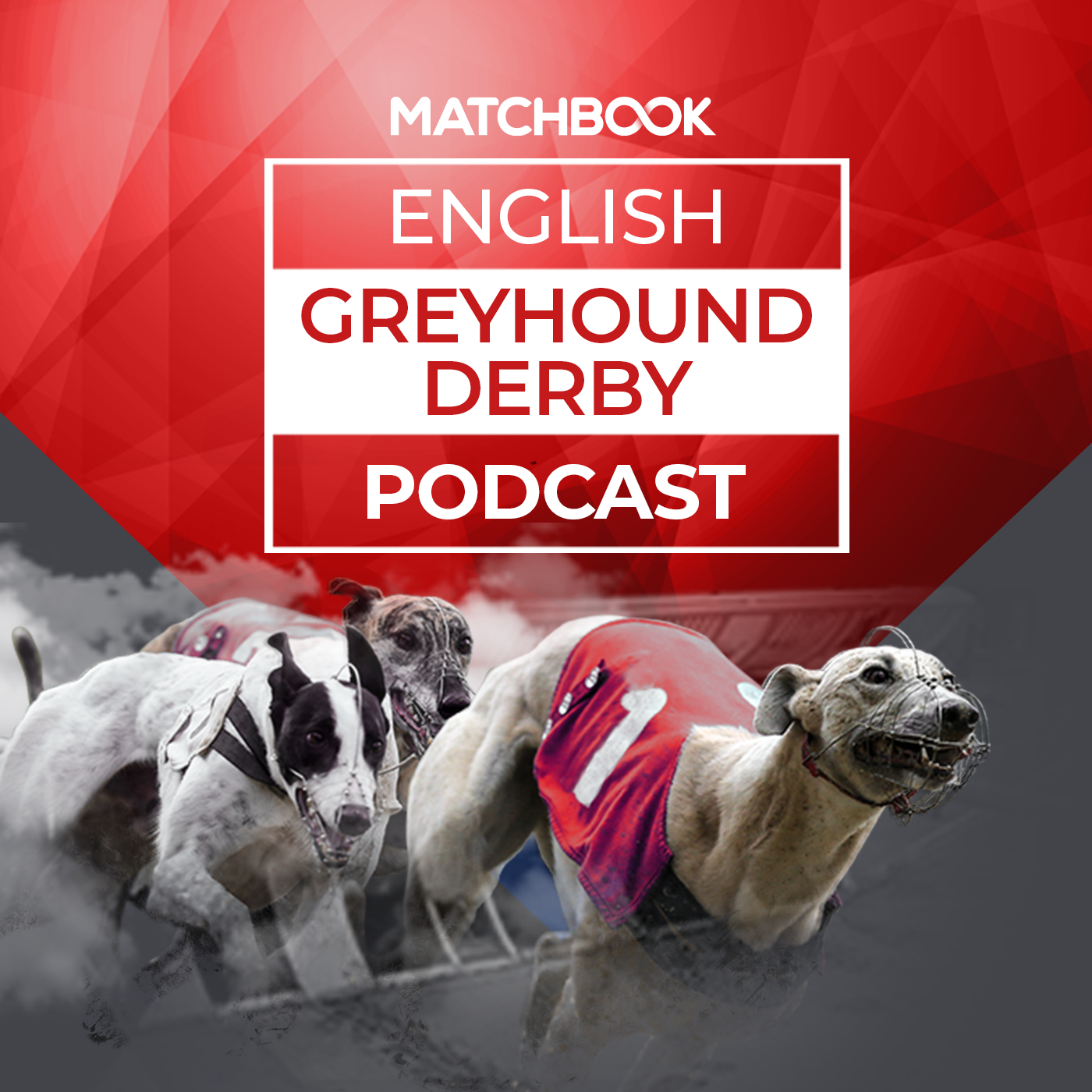 Matchbook Betting Podcast