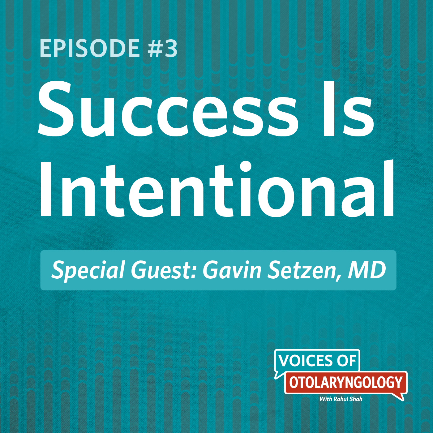 Success Is Intentional with Gavin Setzen, MD