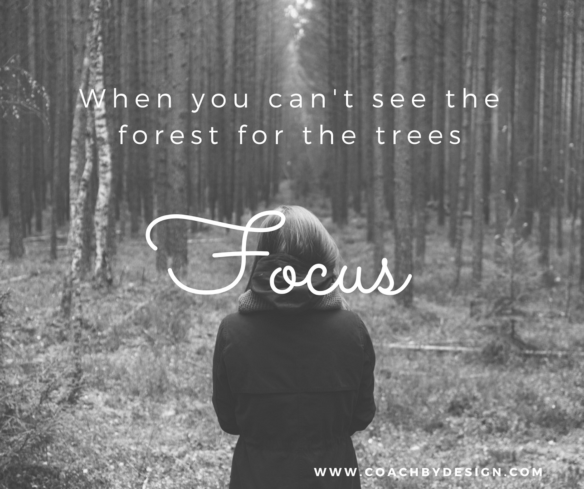 Podcast #135: Seeing the Forest Through the Trees!