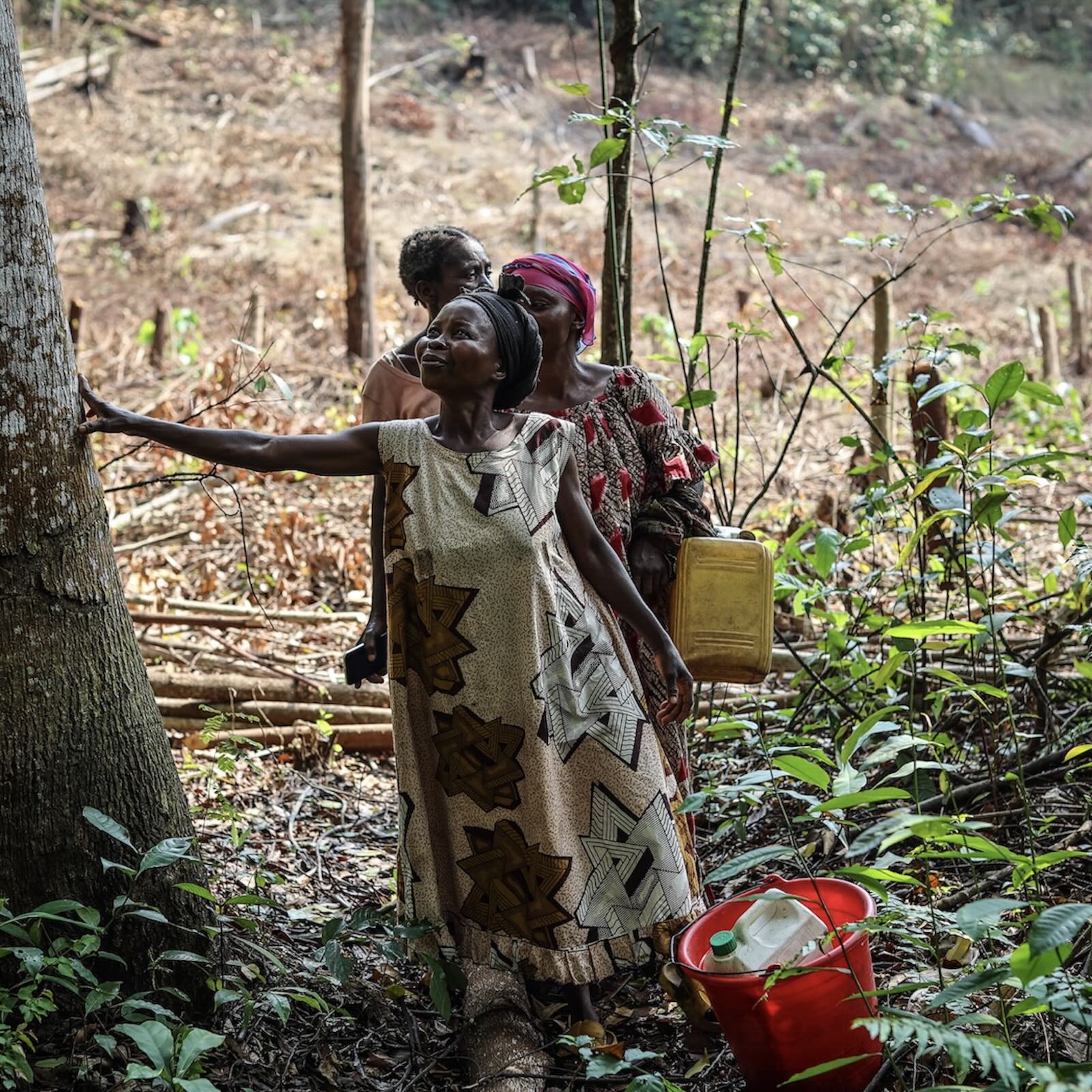 The 'barefoot lawyers' helping Indigenous and local communities reclaim their land