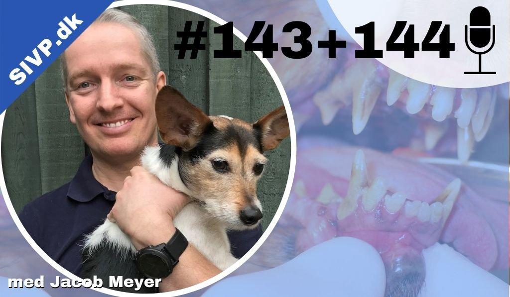 Succes I Veterinær Praksis Podcast - Sammen om at blive bedre