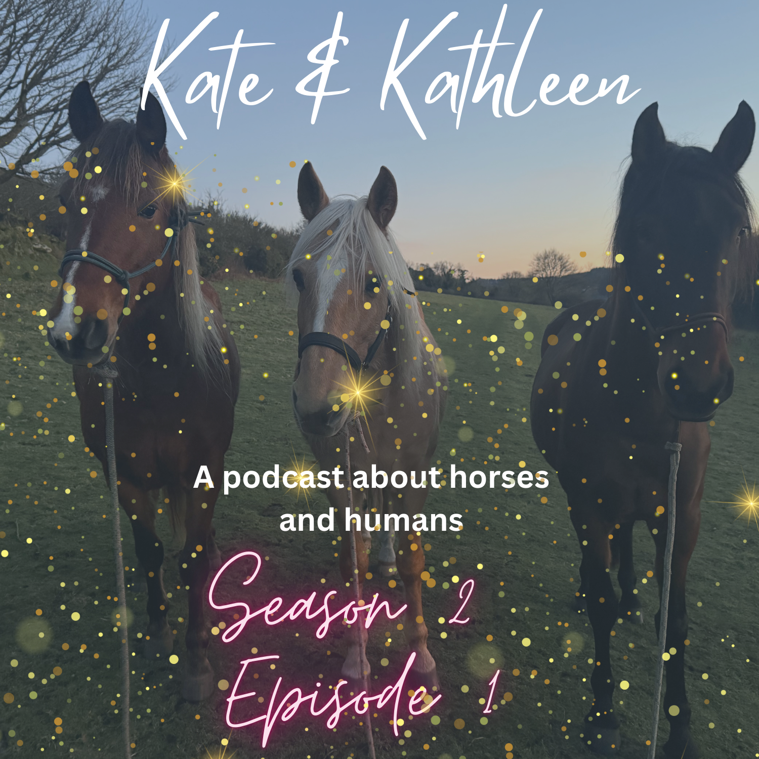 Kate and Kathleen - A podcast about humans and horses