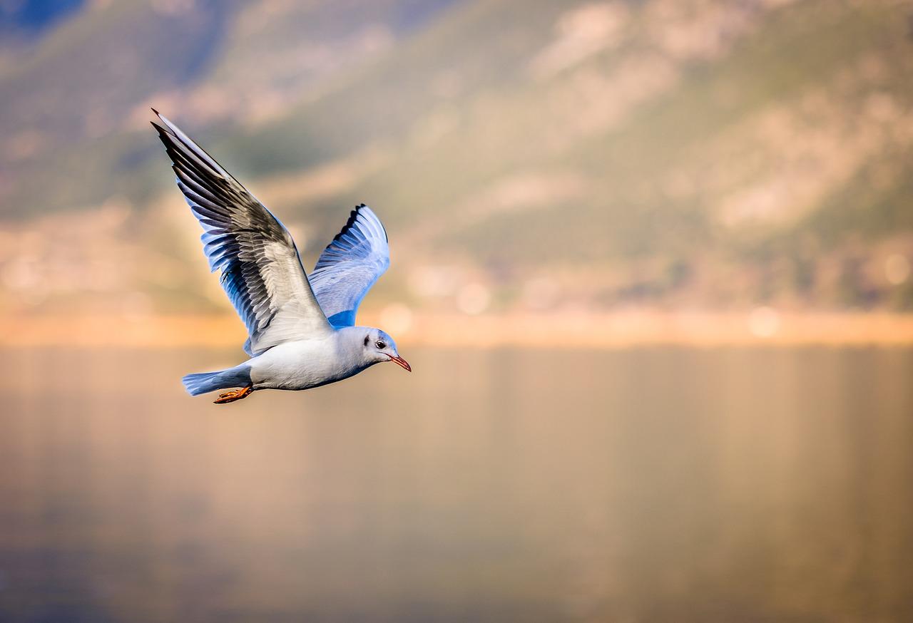 Overcome Imposter Syndrome: Guided Meditation for Embracing Your Authentic Self & Self-Worth
