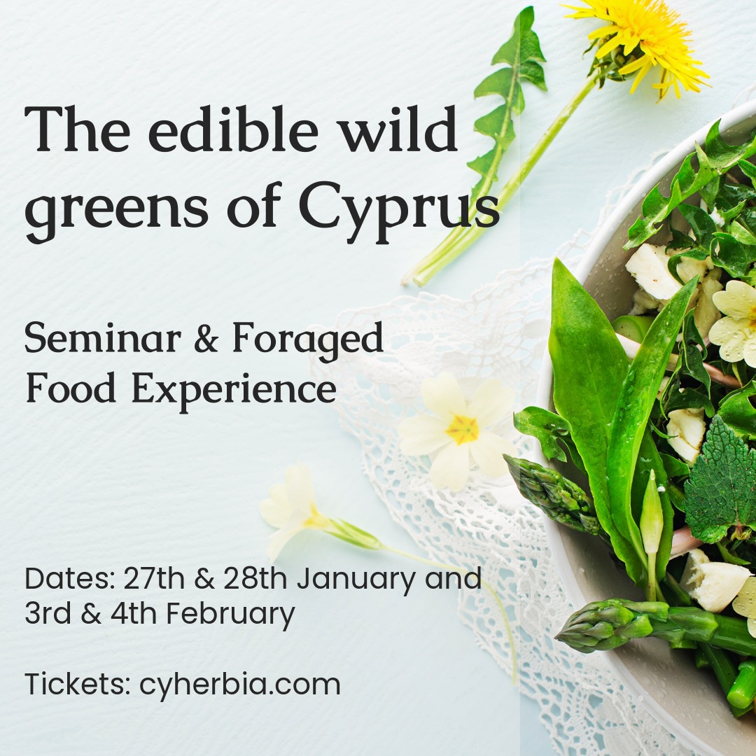 The Cyprus News Digest