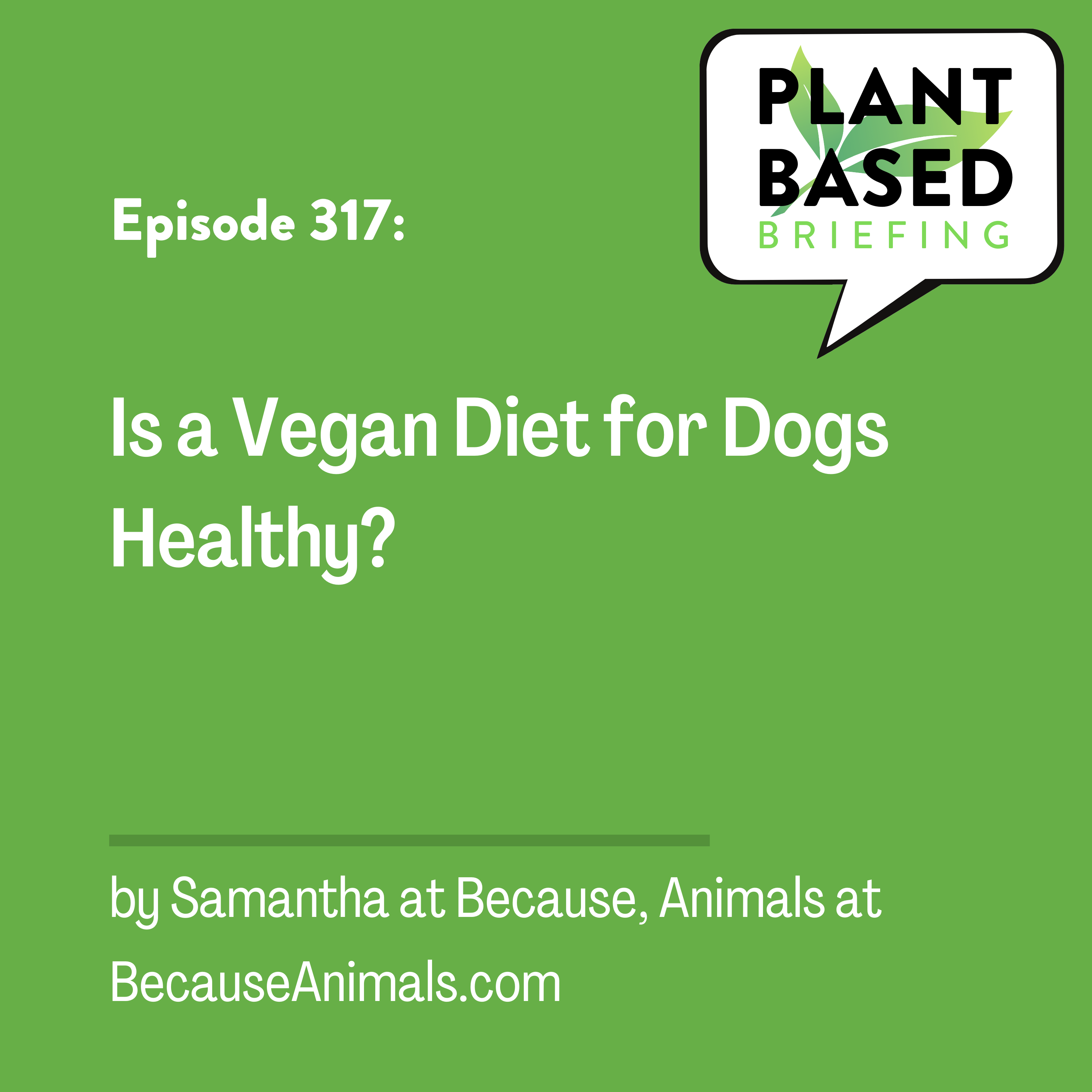 317: Is a Vegan Diet for Dogs Healthy? by Samantha at BecauseAnimals.com