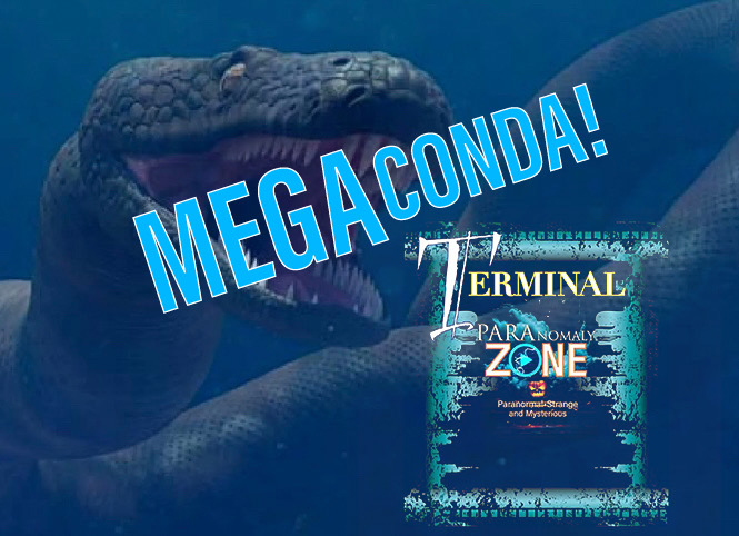 TERMINAL:  MEGACONDA!
