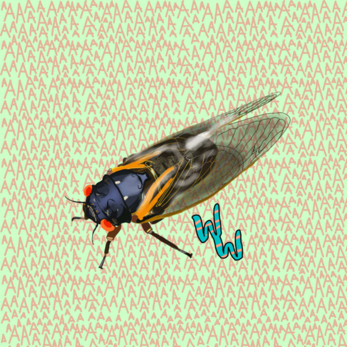 Cicadas