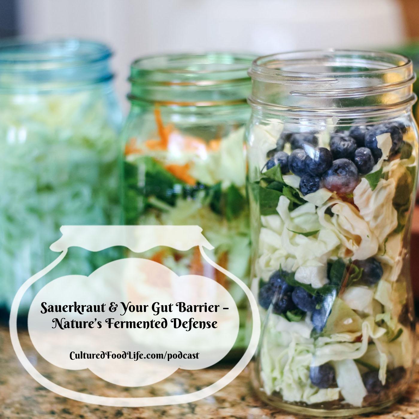 Episode 328: Sauerkraut and Your Gut Barrier – Nature's Fermented Defense