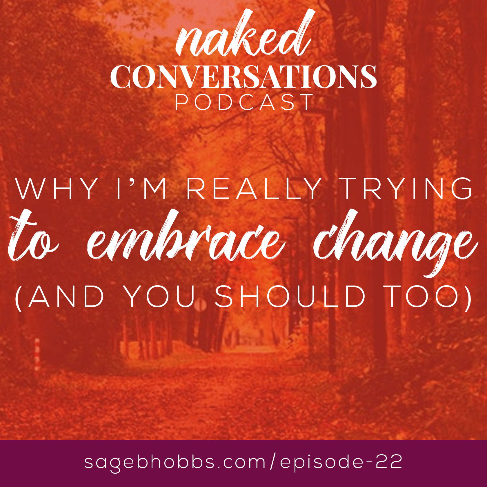 Naked Conversations: Race, Culture, & Beyond