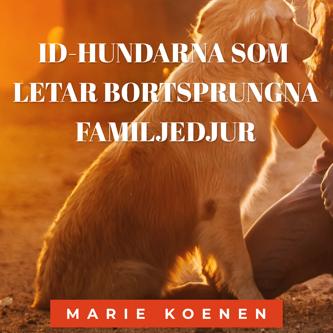 Hundpodden Vår Bästa Vän