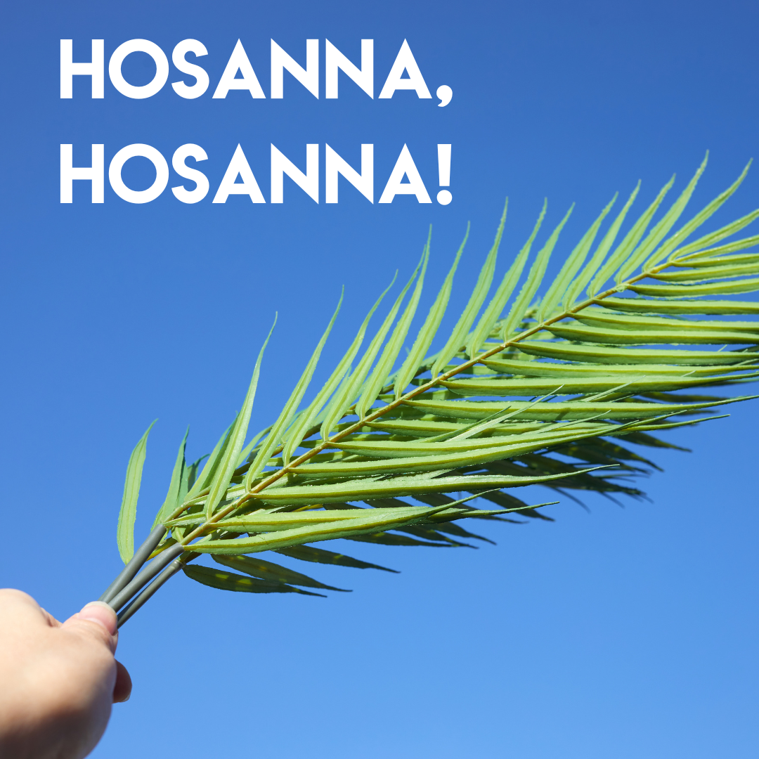 Special Music - Hosanna, Hosanna!