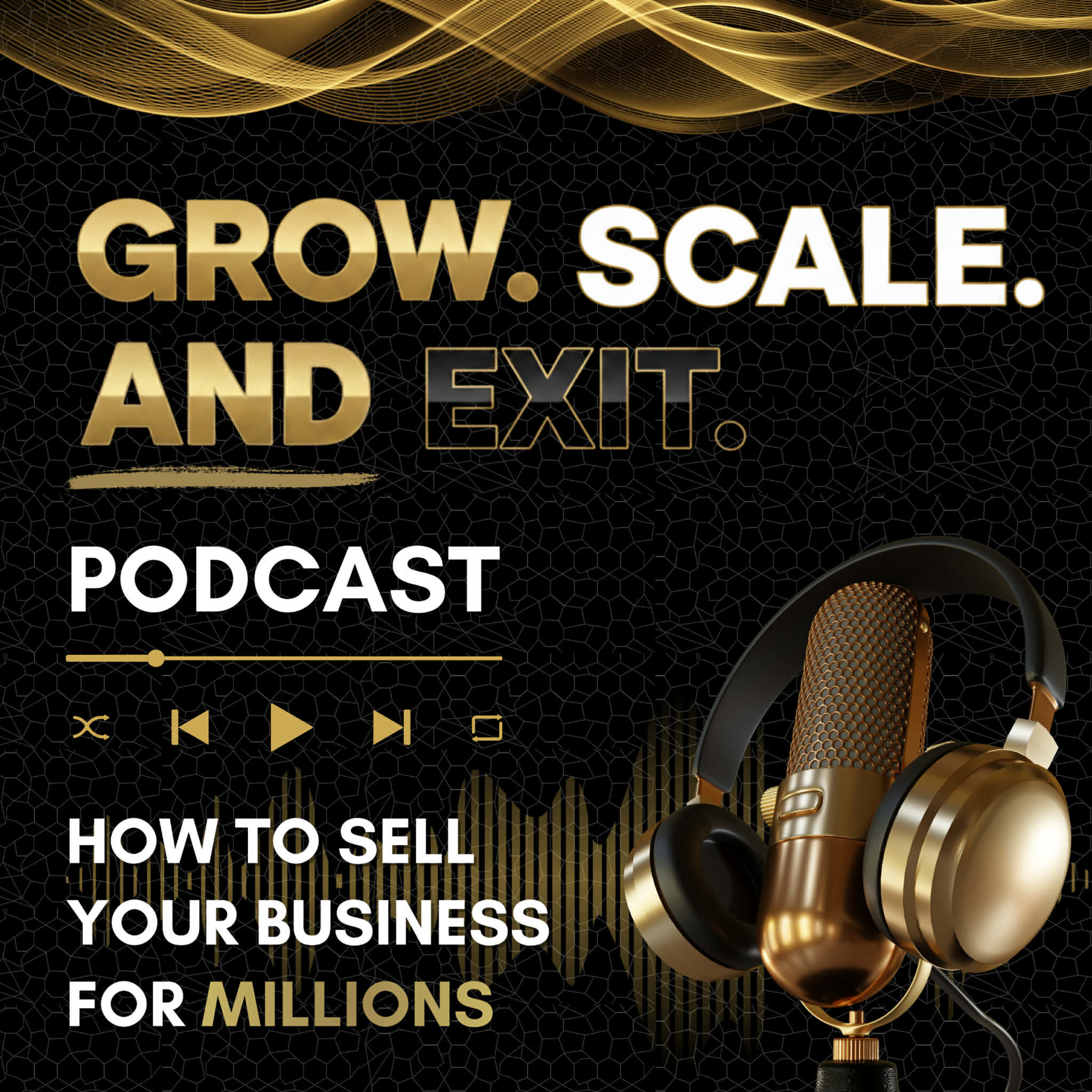 Grow Scale and Exit Podcast