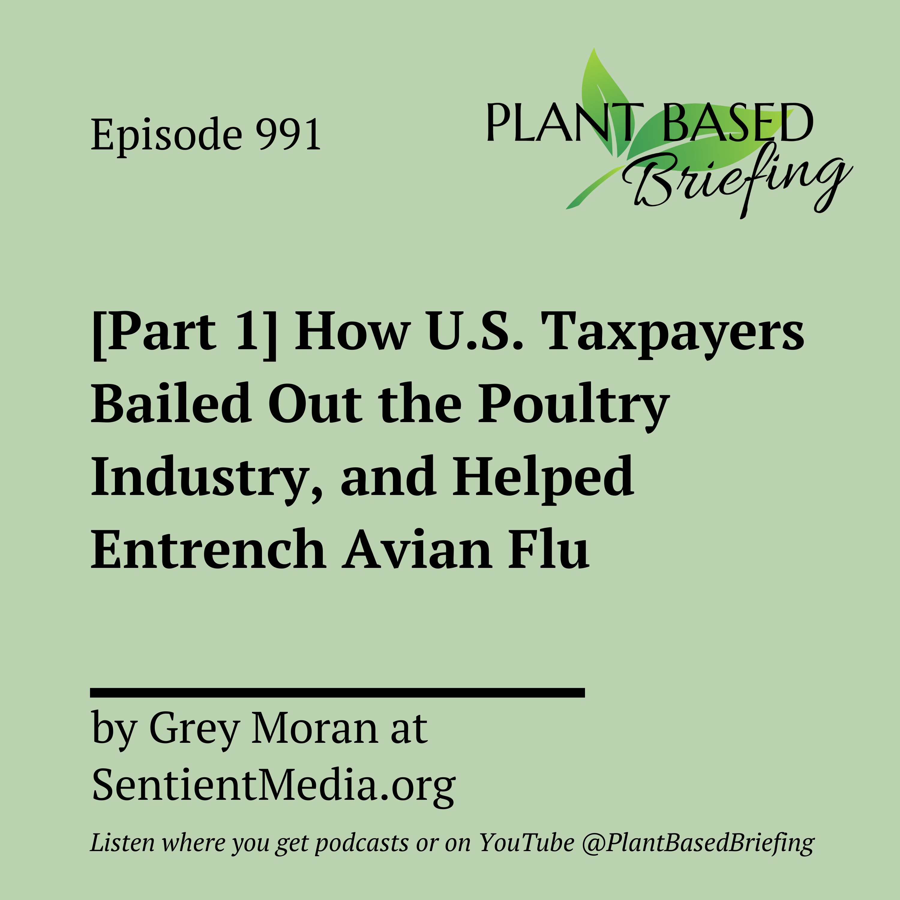 Plant Based Briefing