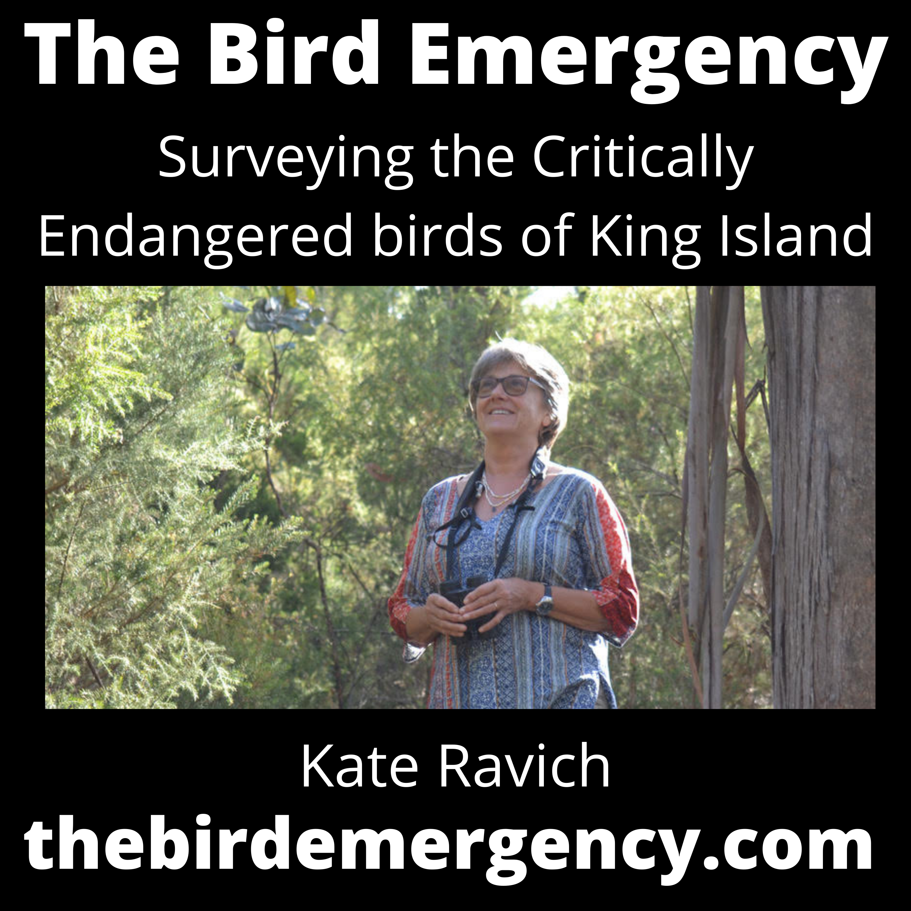 The Bird Emergency