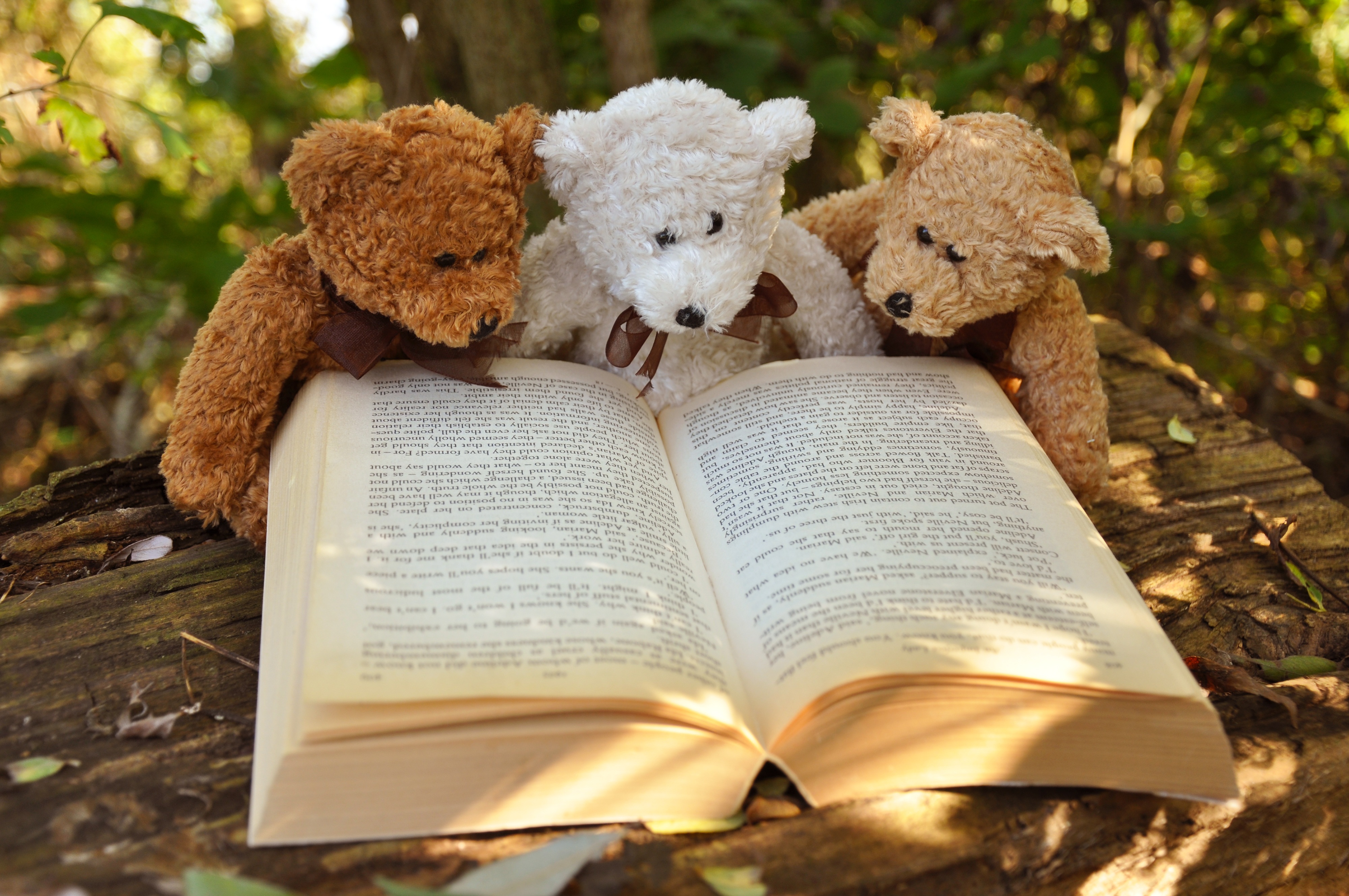 Comic Book Bears Podcast
