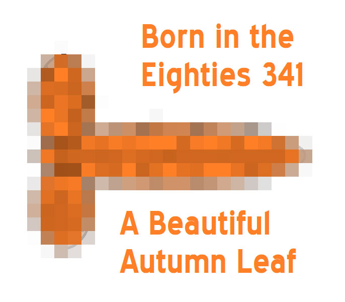 Born in the Eighties 341: A Beautiful Autumn Leaf
