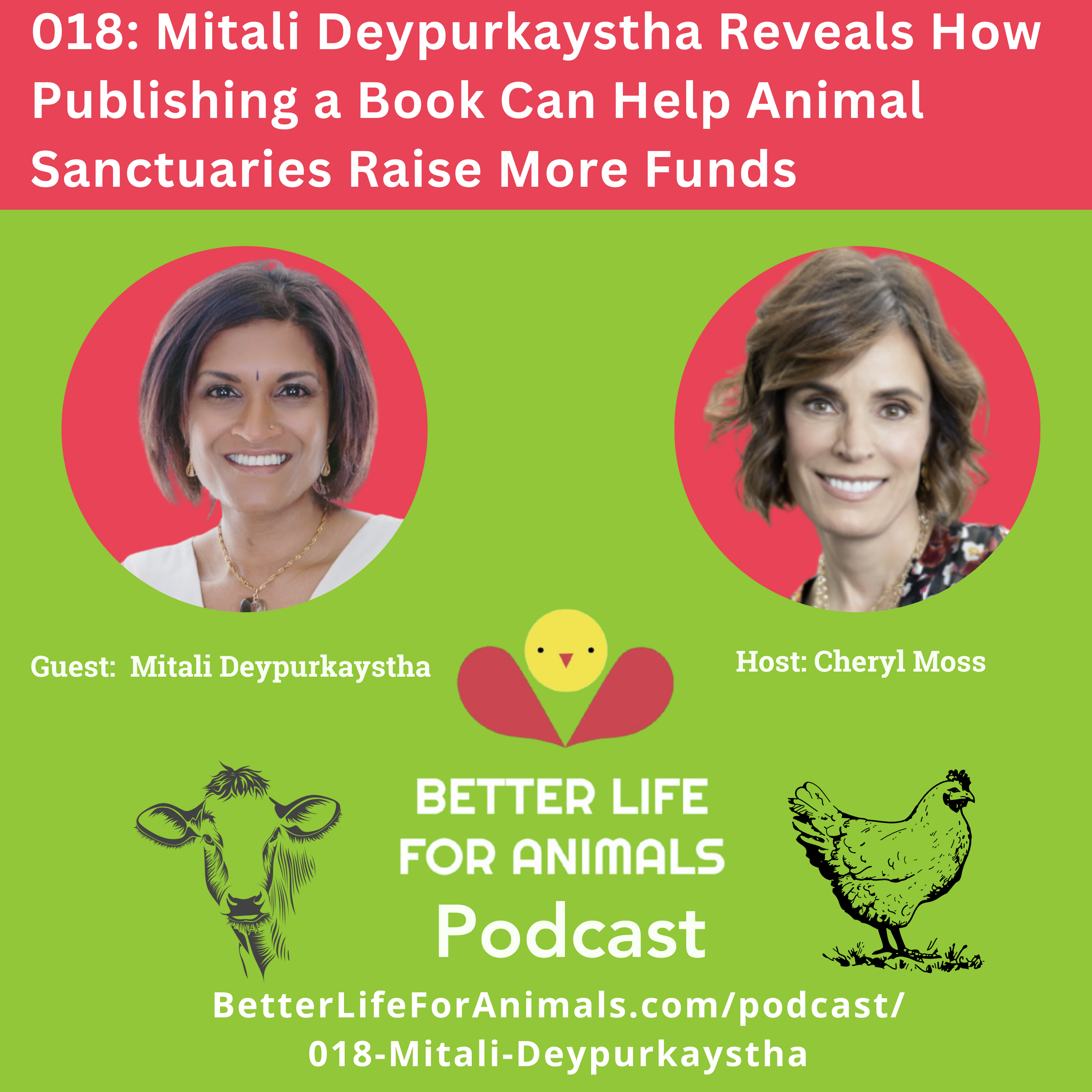 Better Life for Animals