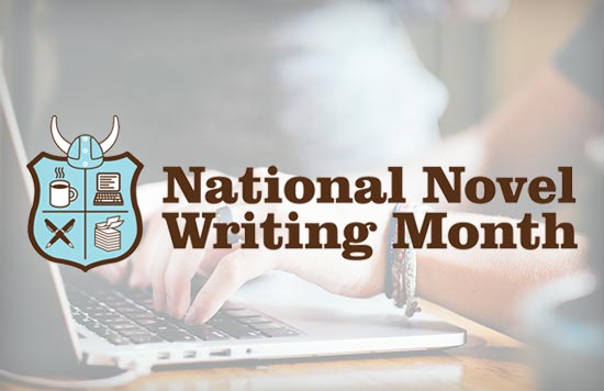 NaNoWriMo Executive Director Grant Faulkner
