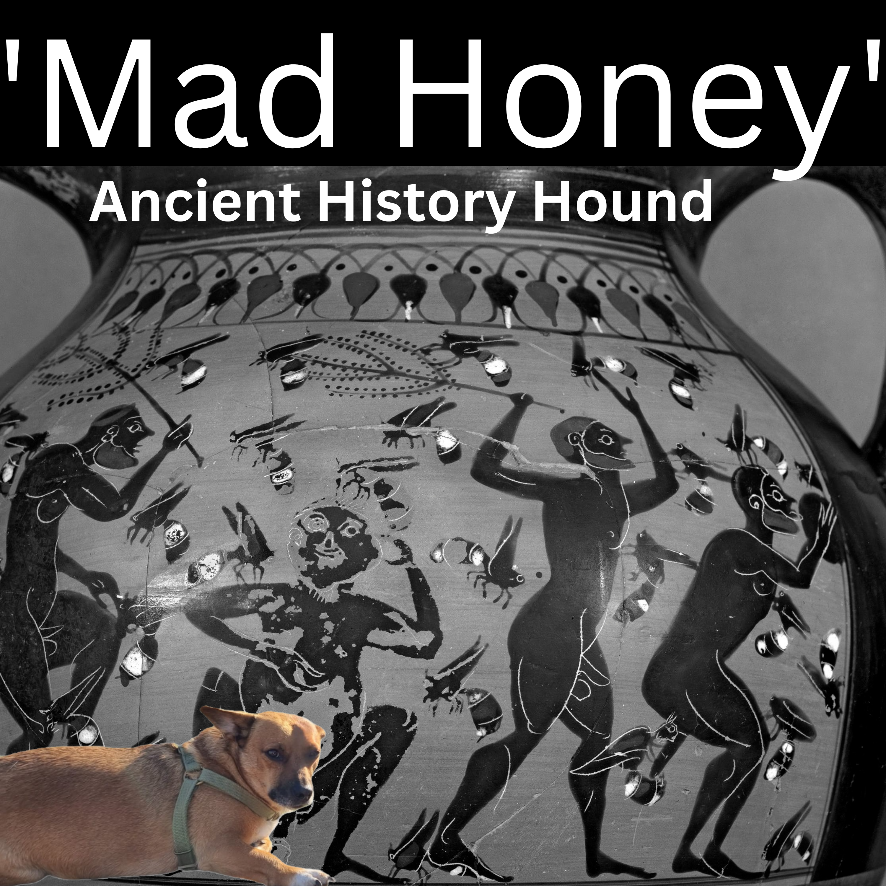 Ancient History Hound