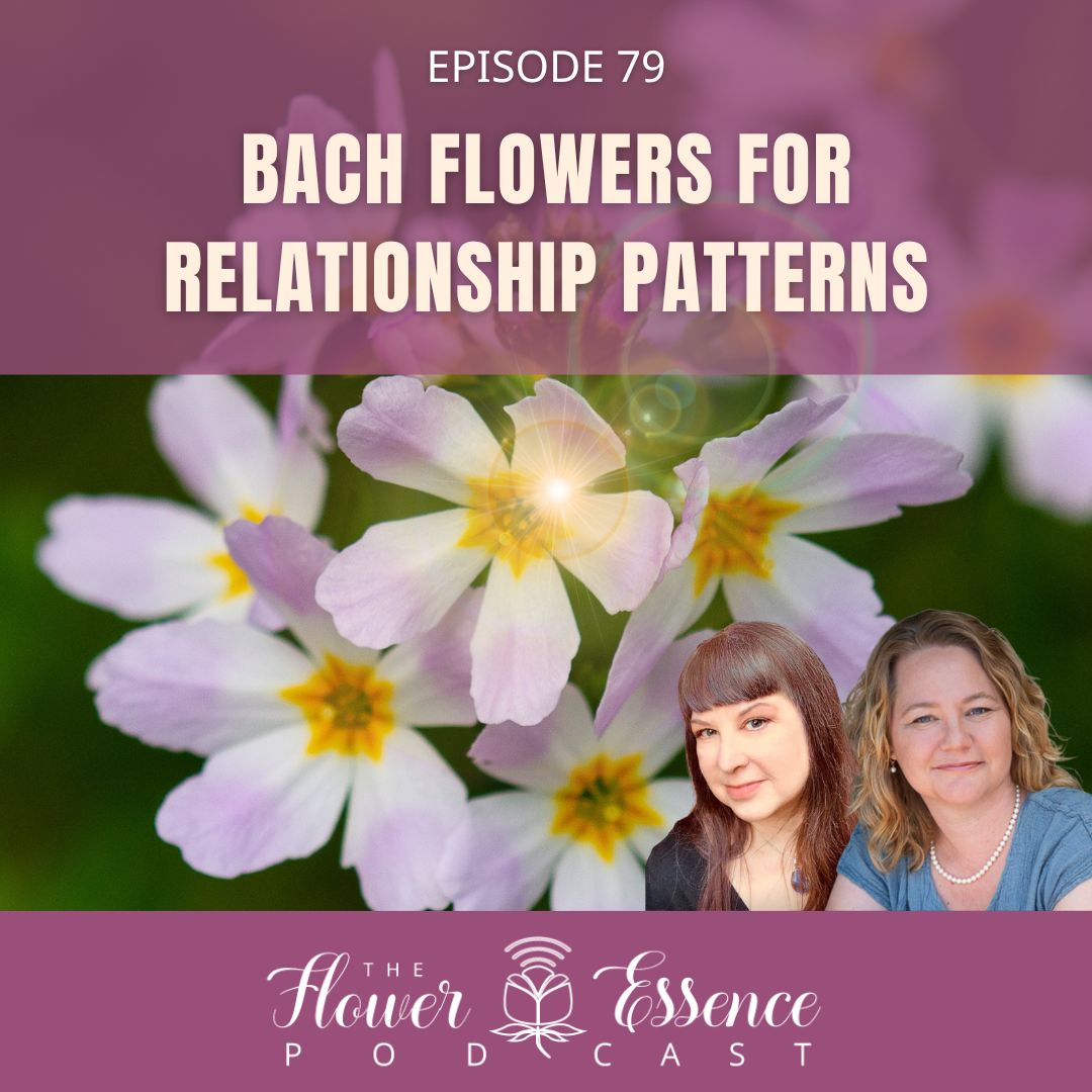 FEP79 Bach Flowers for Relationship Patterns