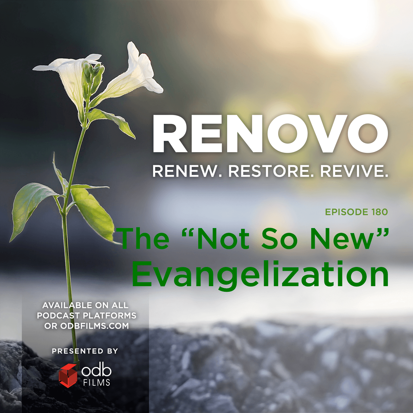 Renovo Podcast