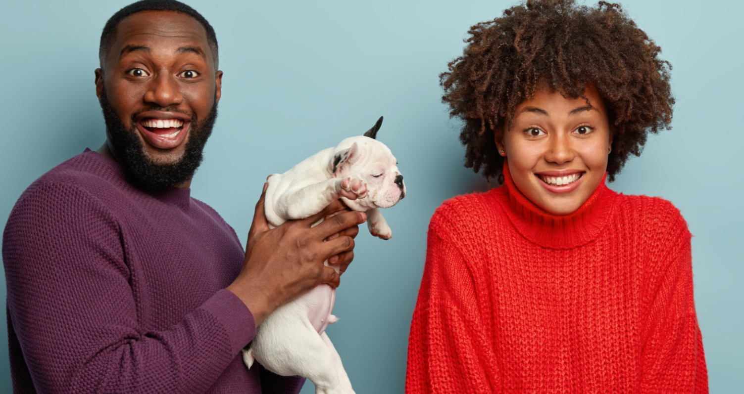 How to Survive a New Puppy
