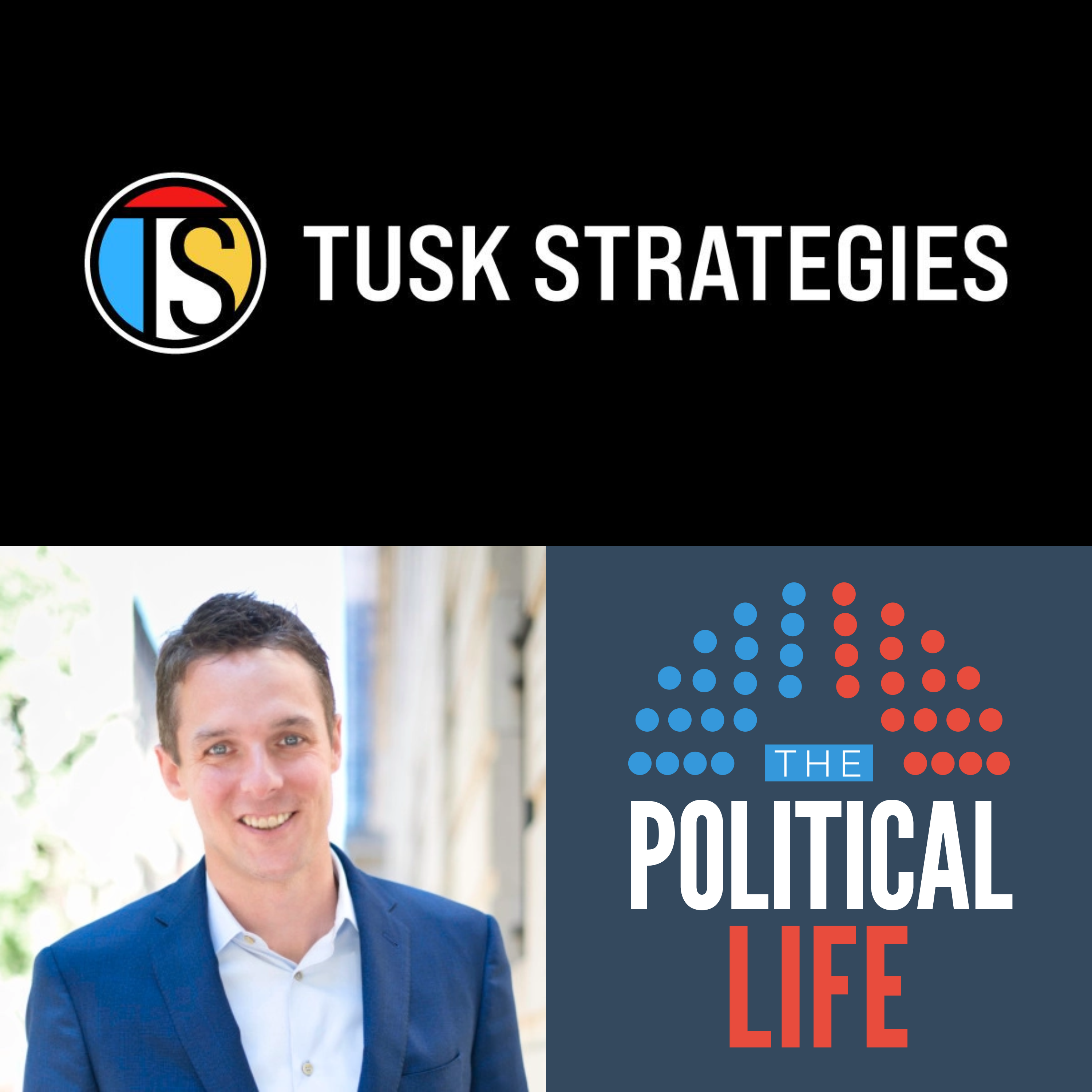 The Political Life