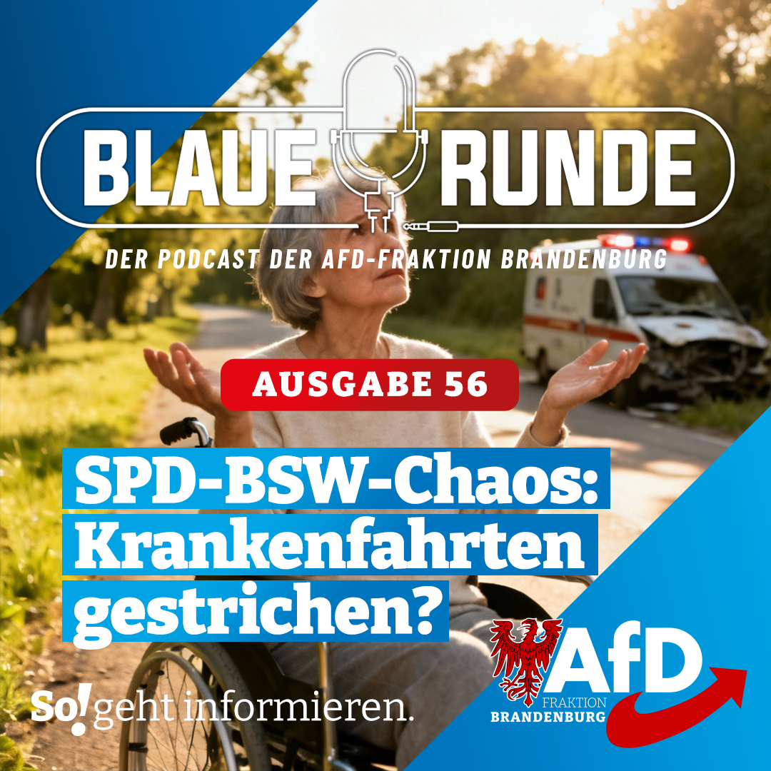 SPD-BSW-Chaos: Krankenfahrten gestrichen? | Die Blaue Runde, Ausgabe 56/25 vom 25.10.2025