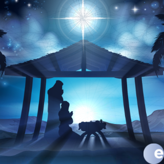 Meditations From The Manger