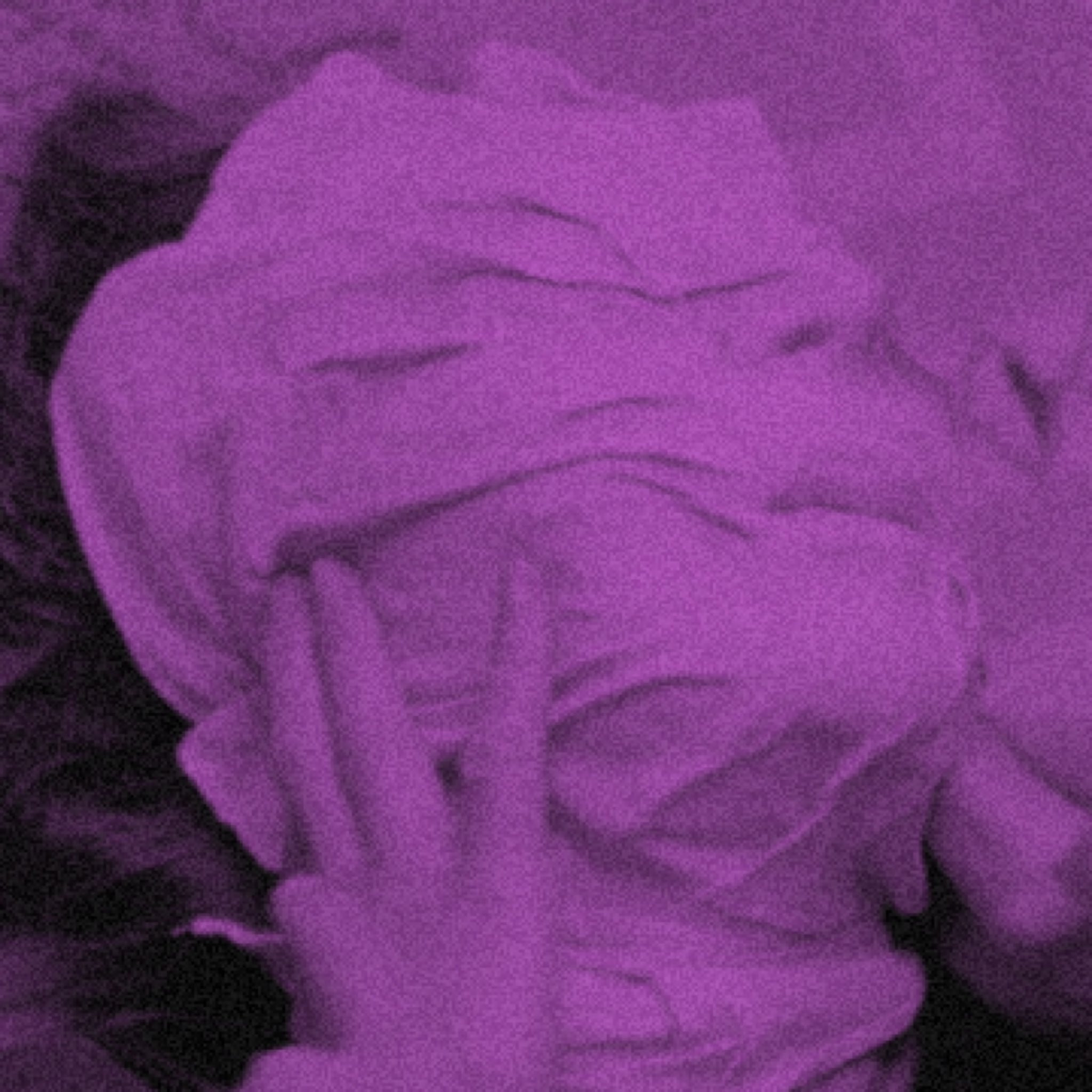 cover of episode Michele Soavi's THE SECT (1991)