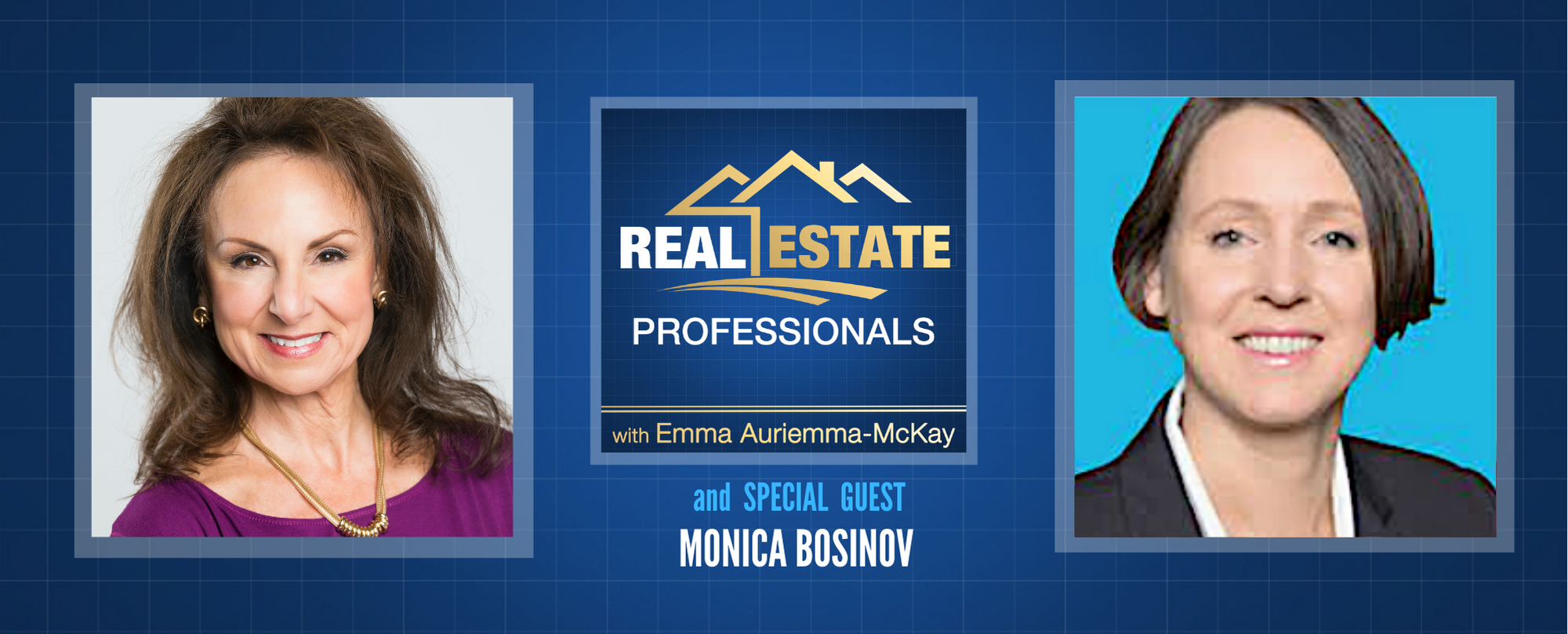 Real Estate Professionals - Property Sales Tactics for Realtors
