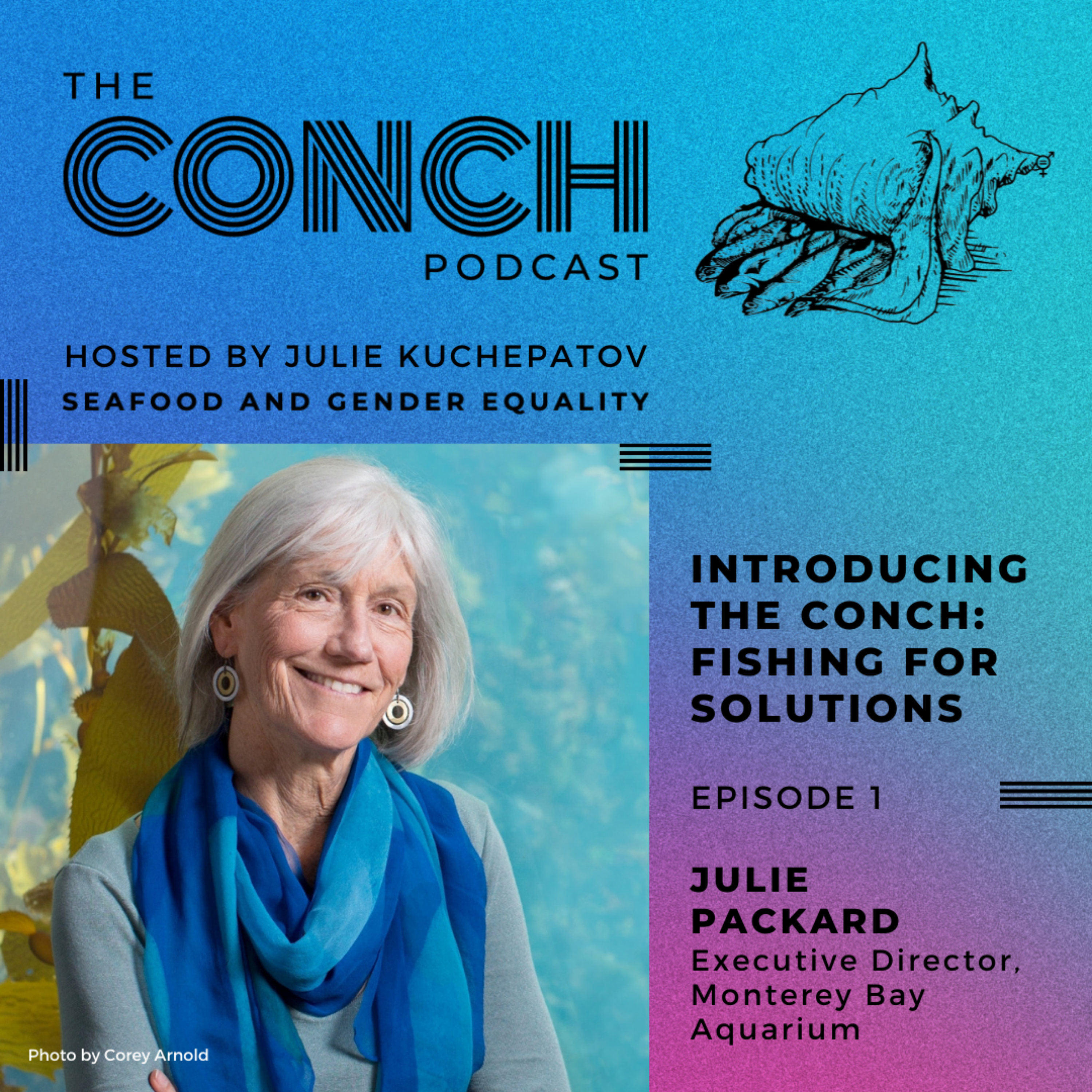 The Conch podcast