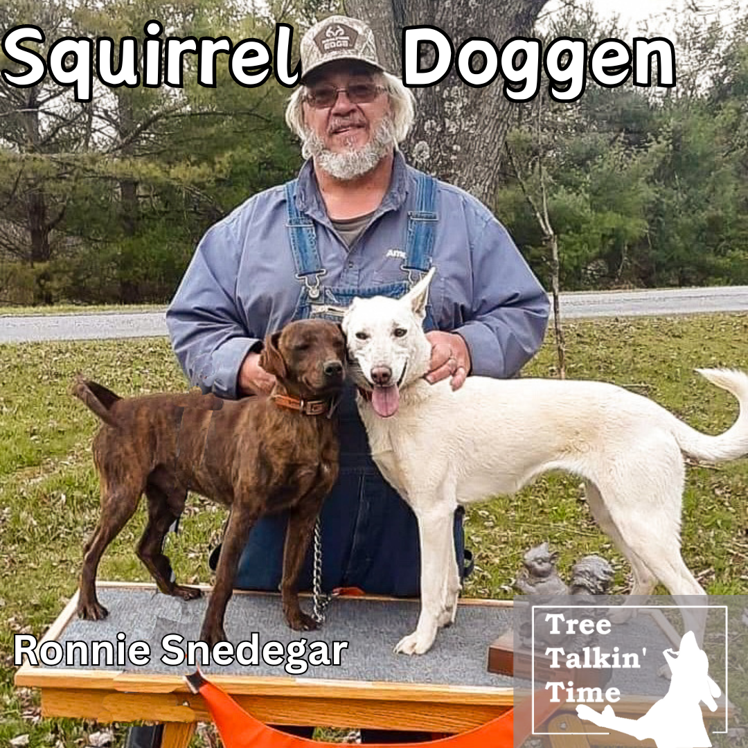 130. Squirrel Doggen