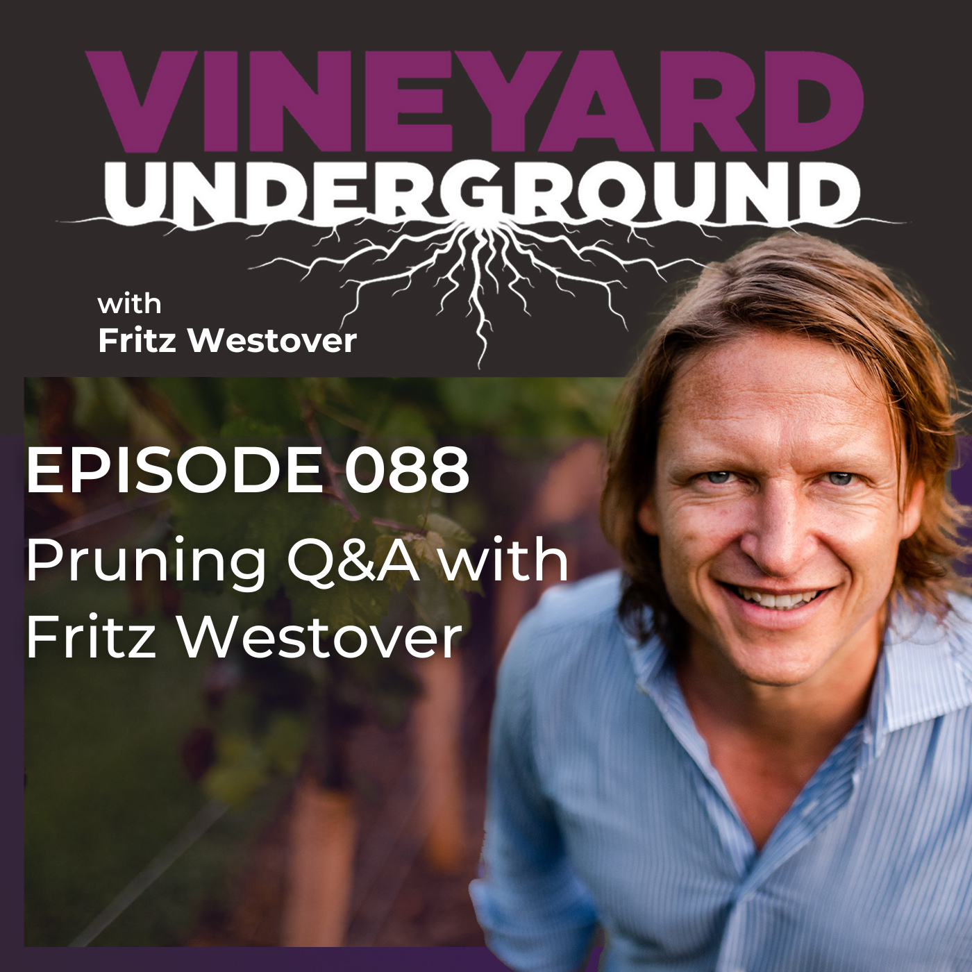 Vineyard Underground
