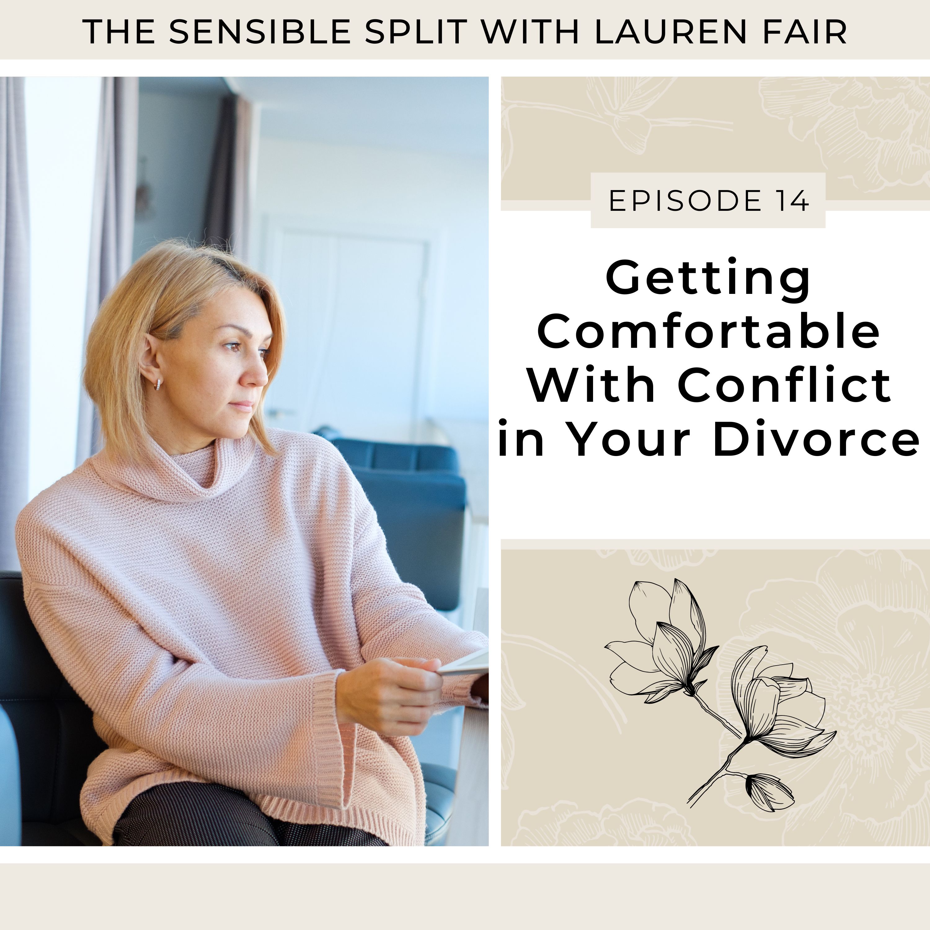14. Getting Comfortable With Conflict in Your Divorce
