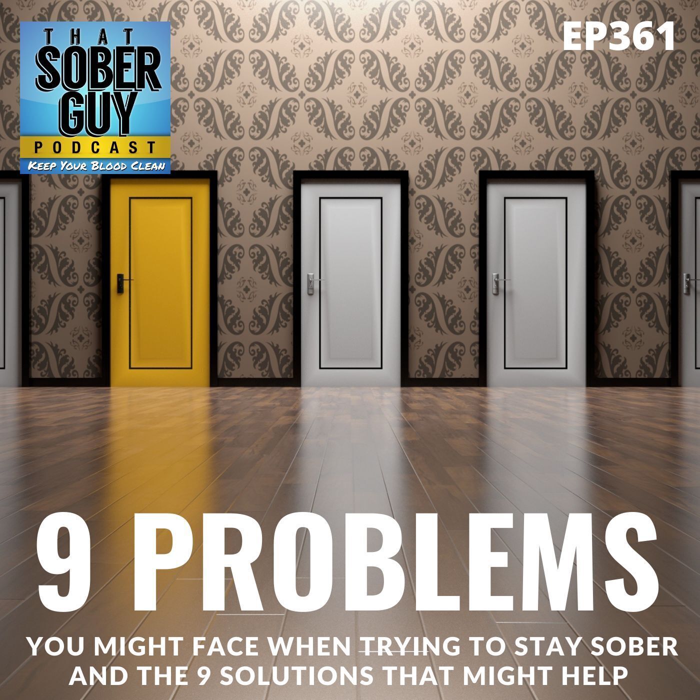 That Sober Guy Podcast