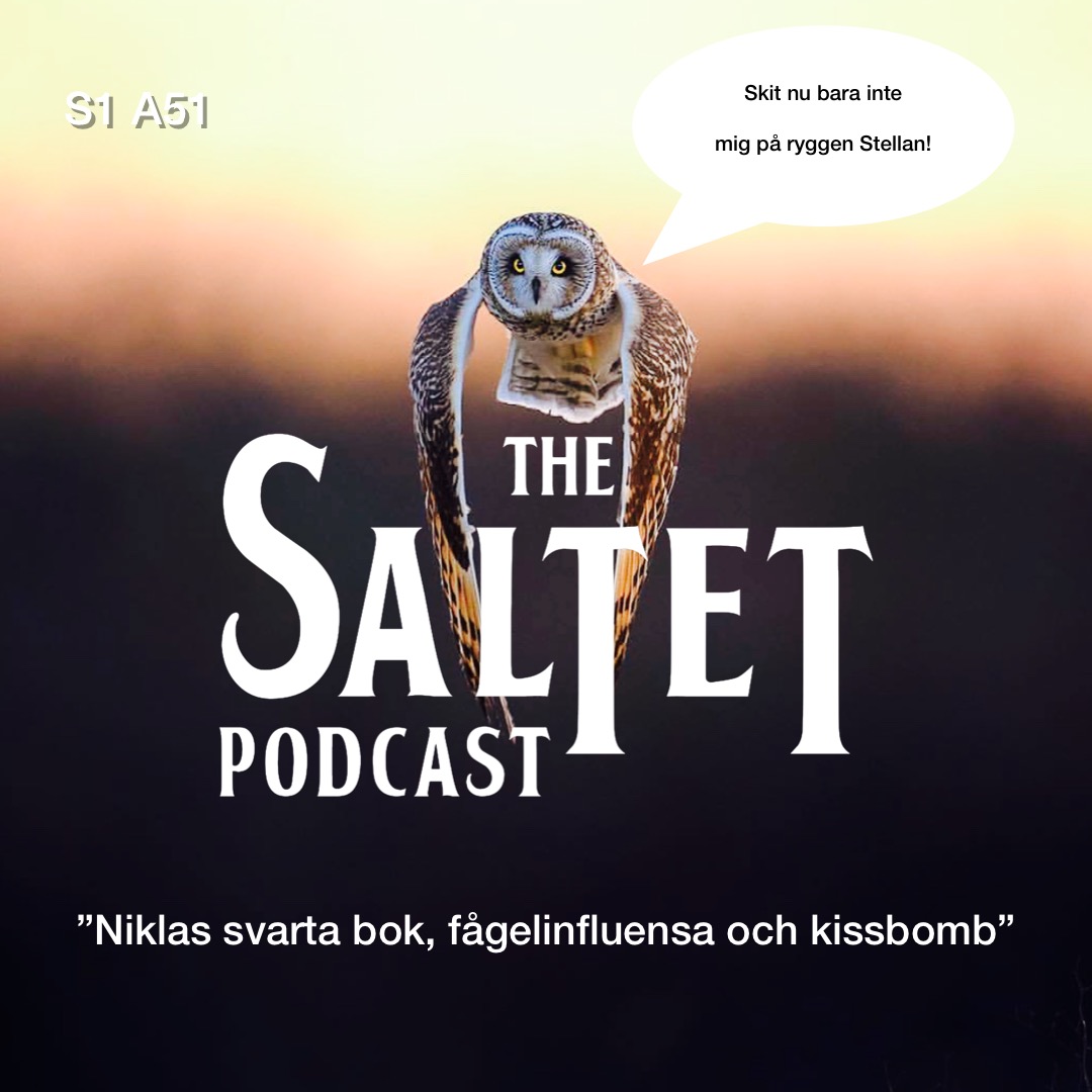 The Saltet podcast