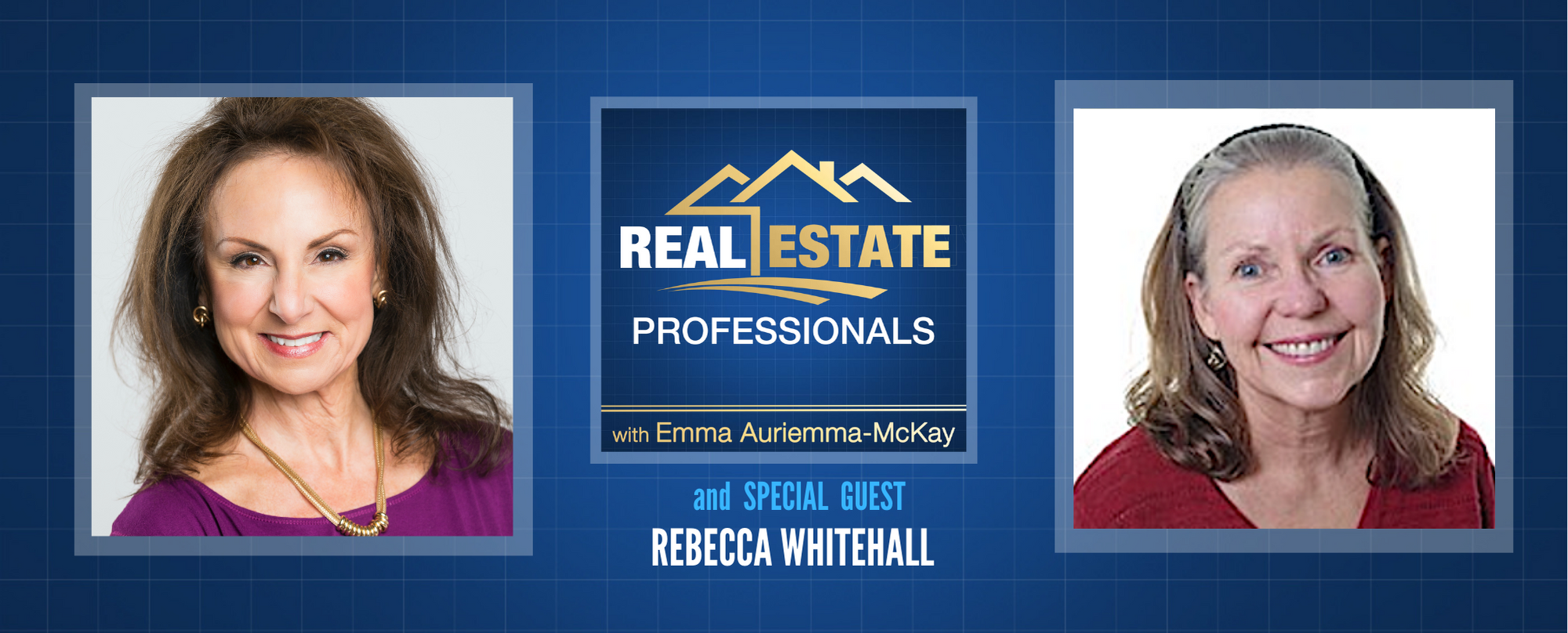 Real Estate Professionals - Property Sales Tactics for Realtors