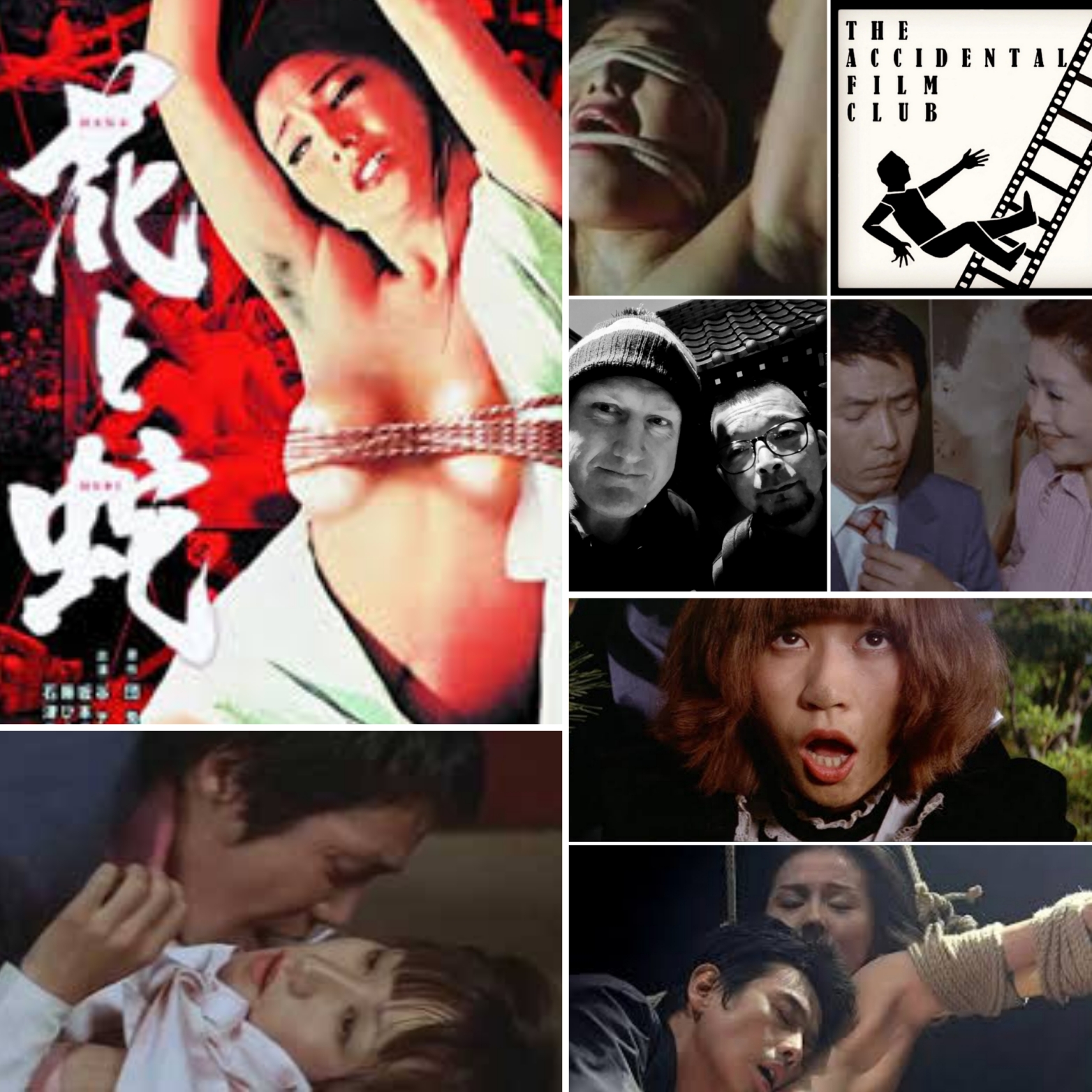 The Accidental Film Club