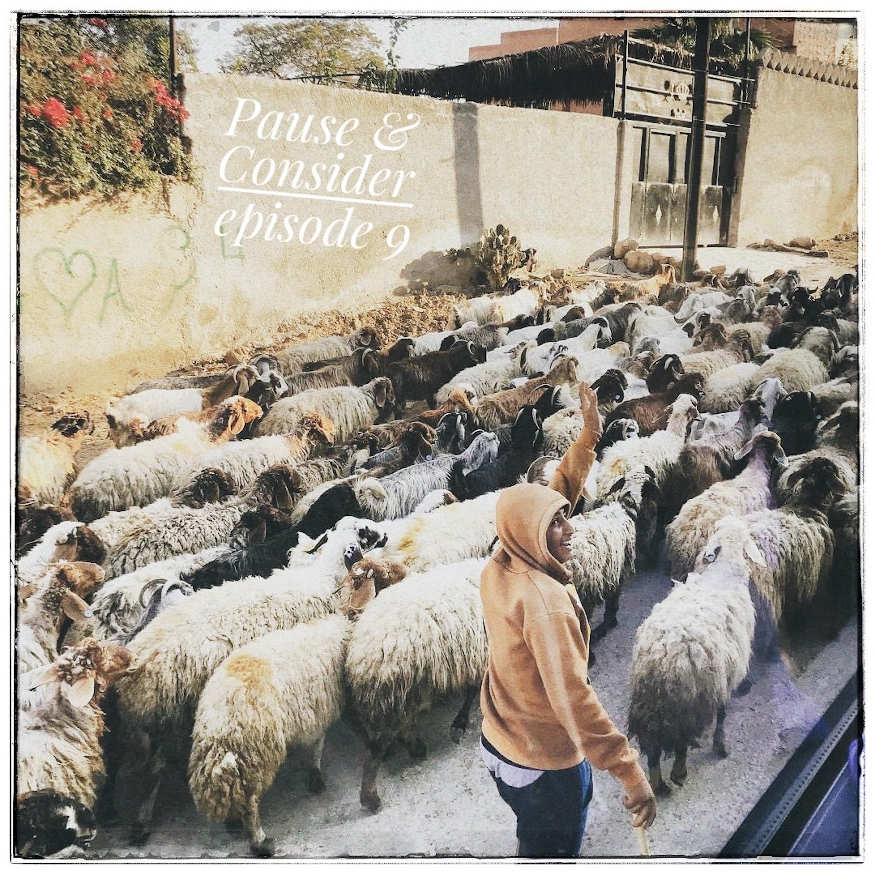 009 - Psalm 9