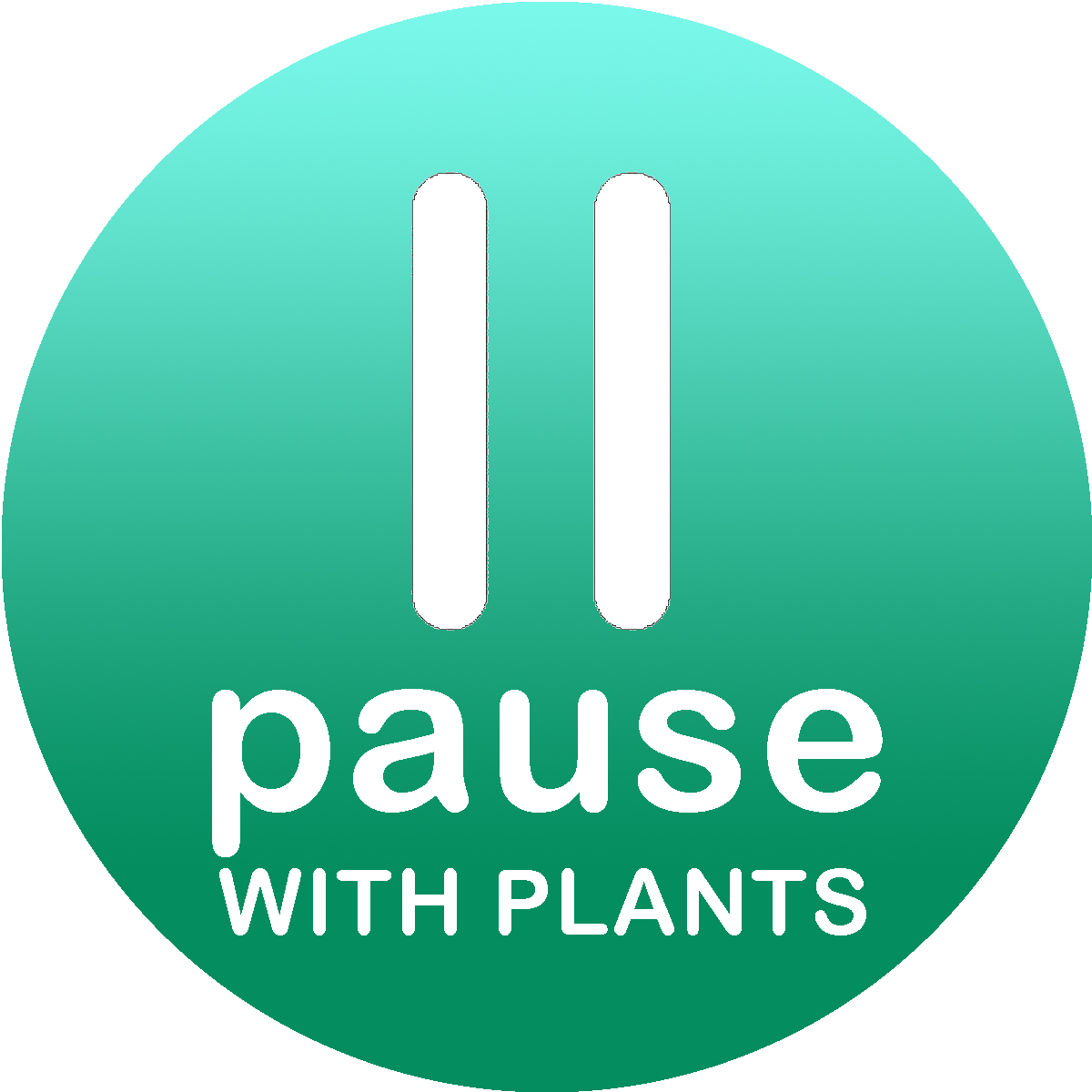 Self-care: Plants and Sunlight