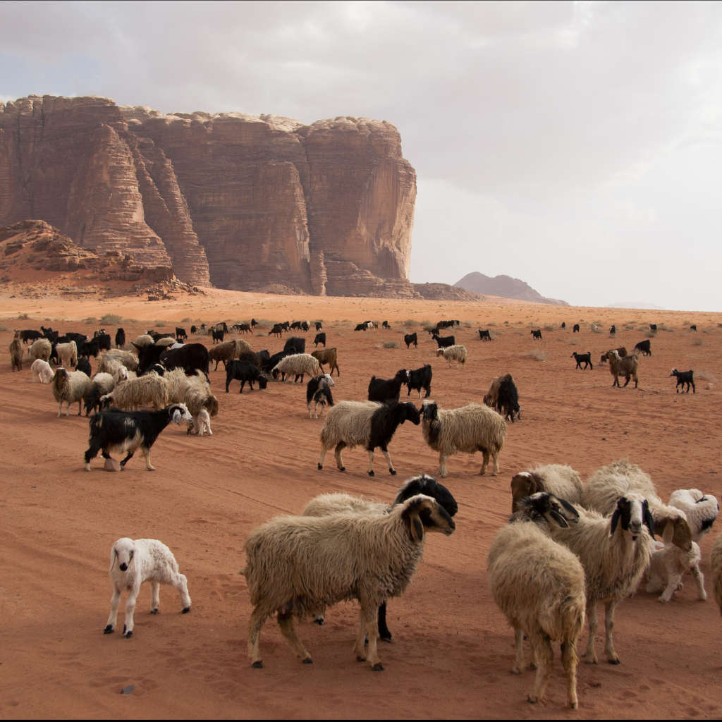 Agriculture in the Bible