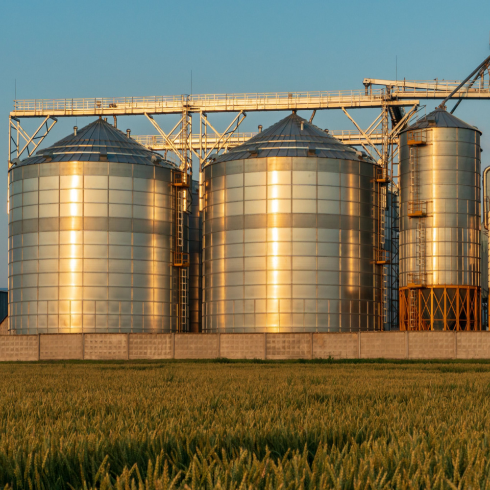 RaboResearch Agri Commodities