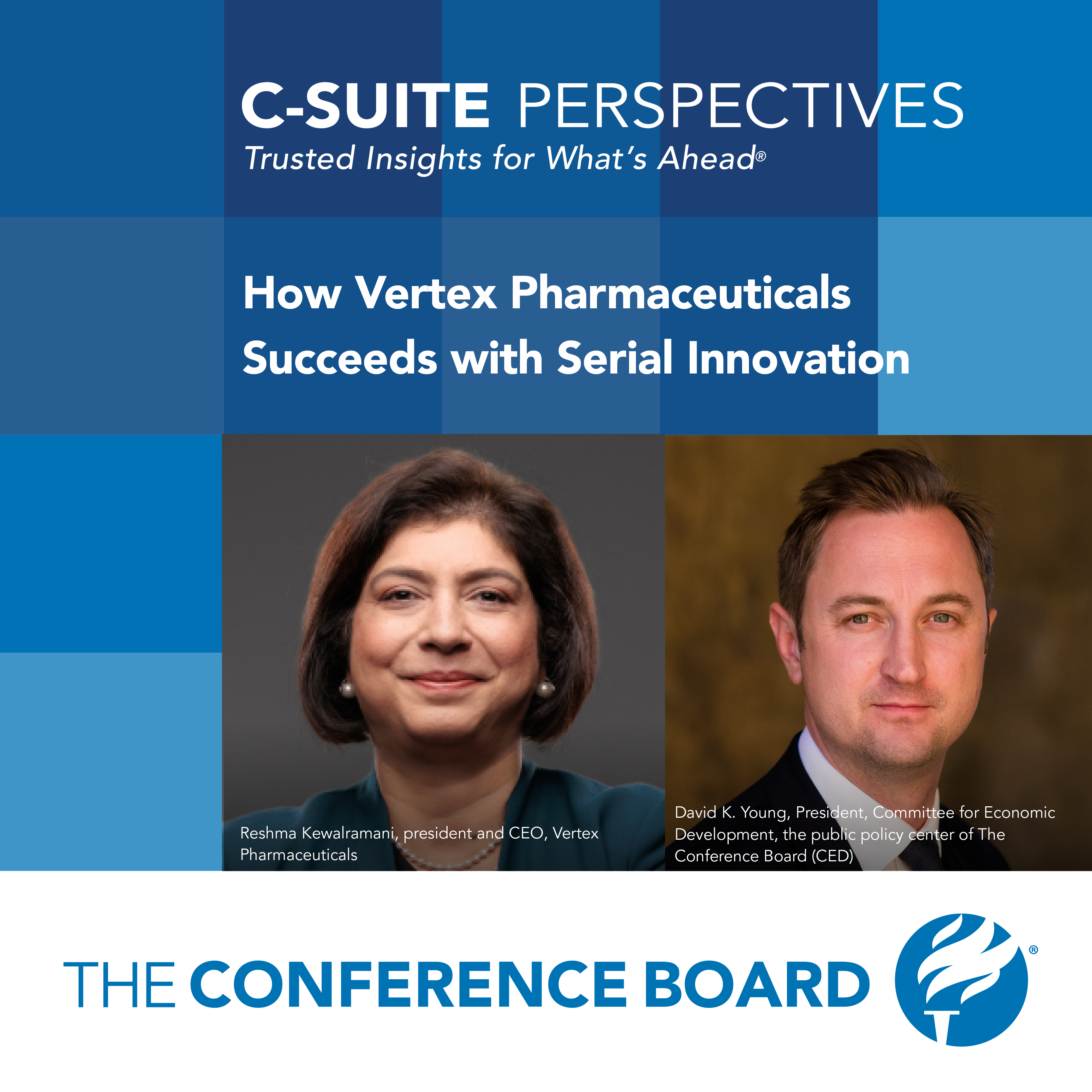 C-Suite Perspectives