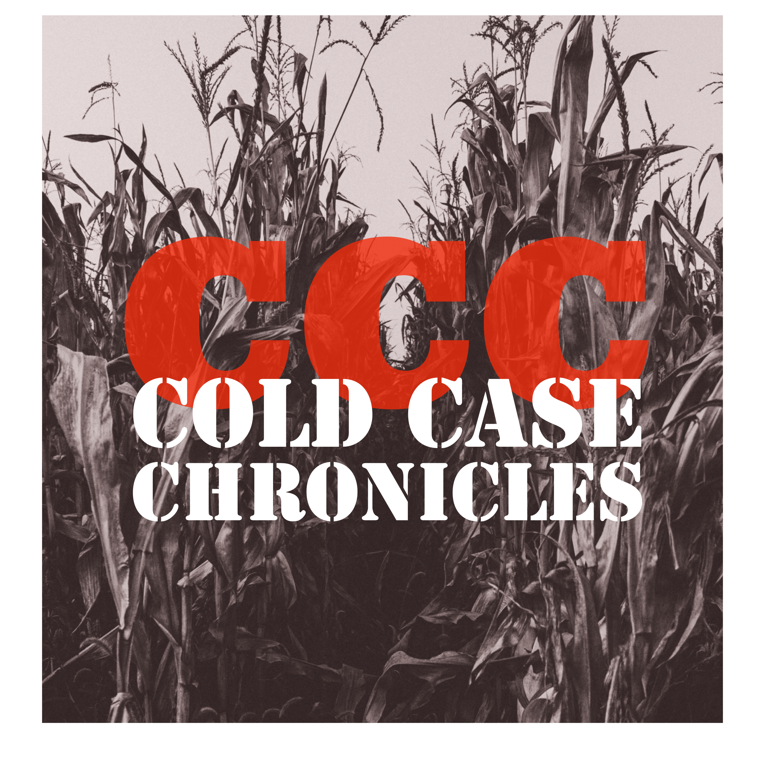 Cold Case Chronicles