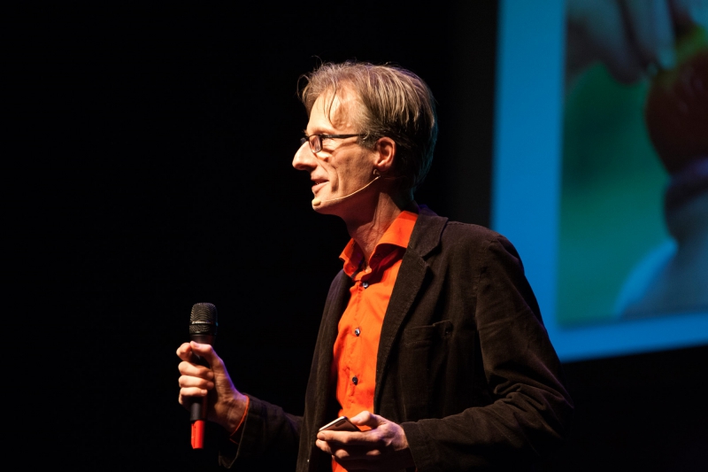 Artiance - Kunst, Cultuur en Onderwijs