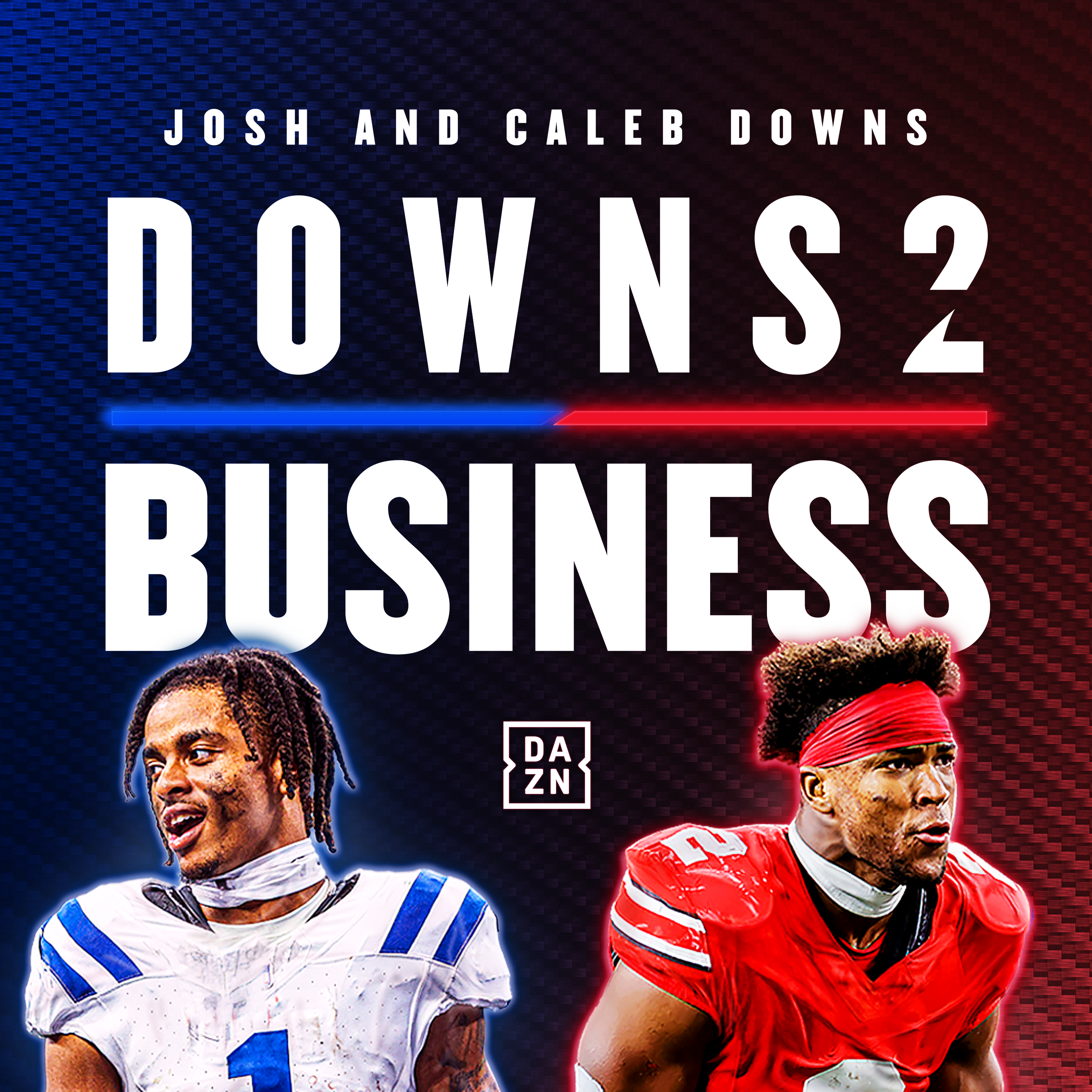Downs 2 Business