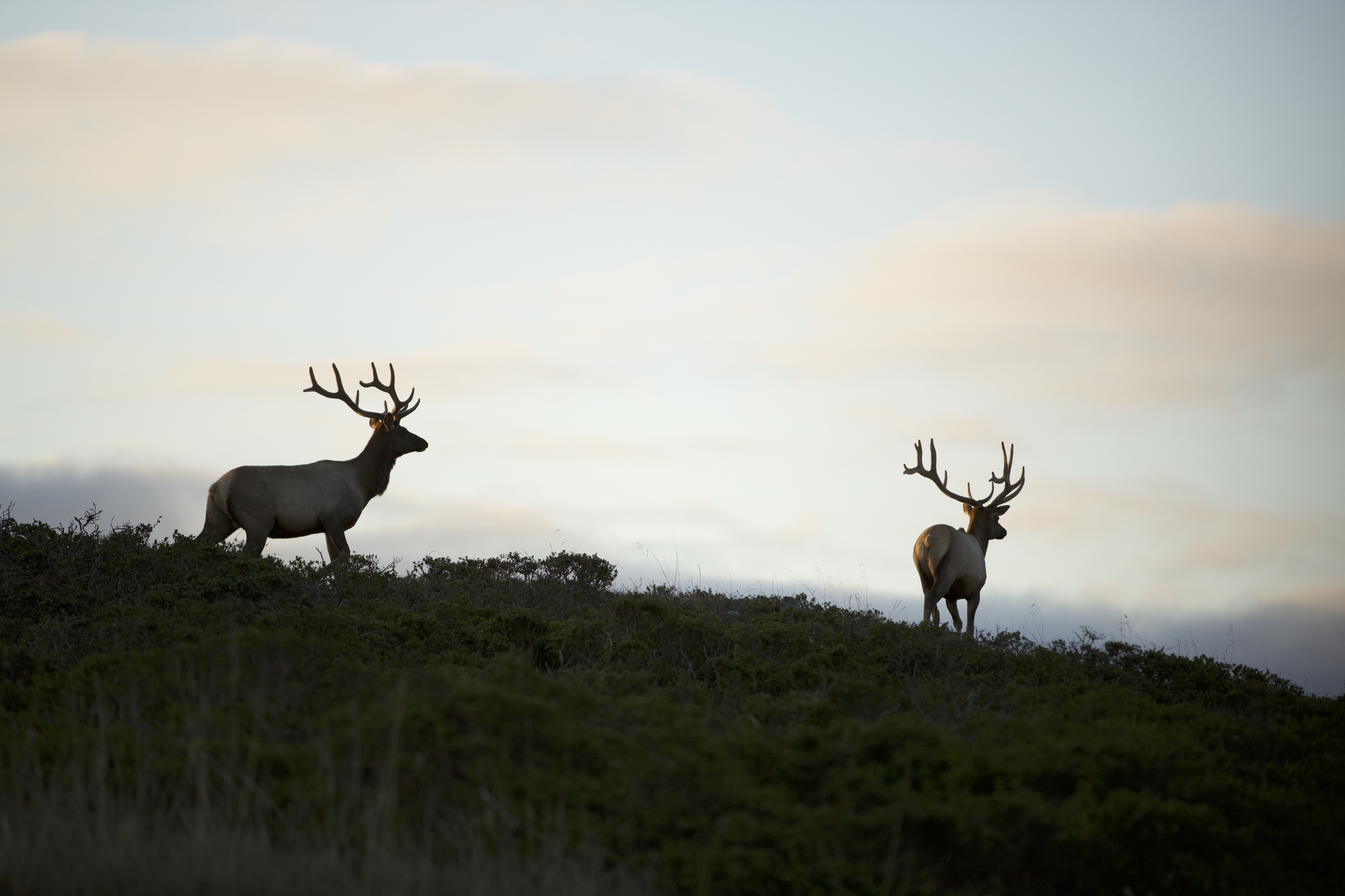 BeProvided Conservation Radio Podcast