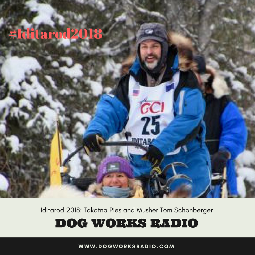 Iditarod 2018: Takotna Pies