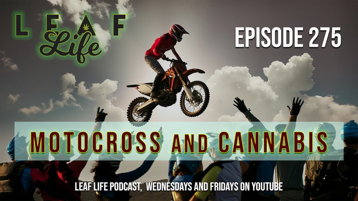 Leaf Life Podcast | All Things Cannabis For All People